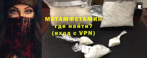 шишки Абаза