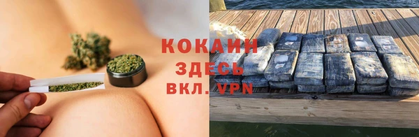 шишки Абаза