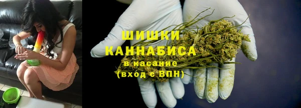 шишки Абаза
