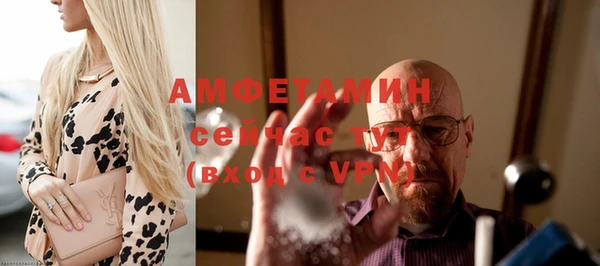 молекула духа Переславль-Залесский