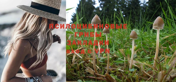прущая мука Пестово