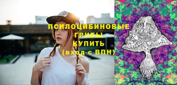 крисы Абдулино