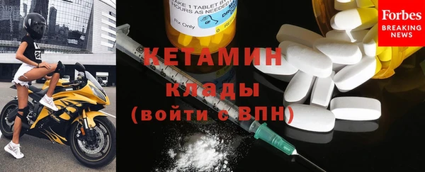 шишки Абаза
