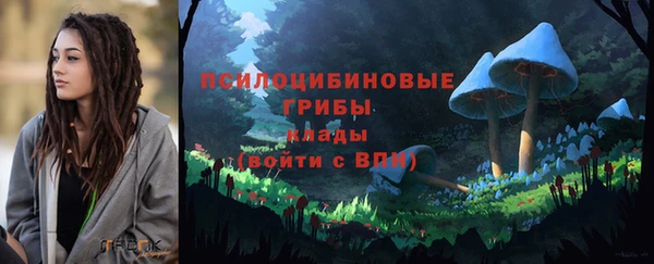 дживик Алзамай
