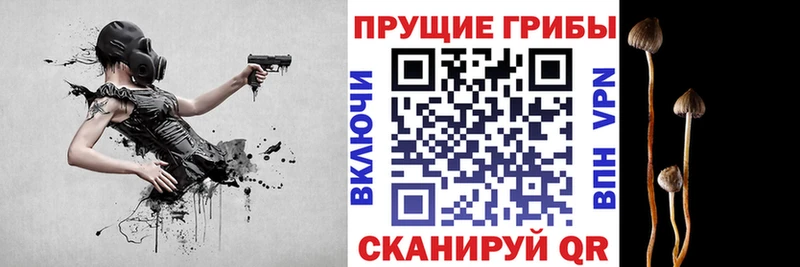 Псилоцибиновые грибы GOLDEN TEACHER Тырныауз