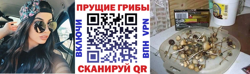 закладка  Тырныауз  Галлюциногенные грибы мухоморы 